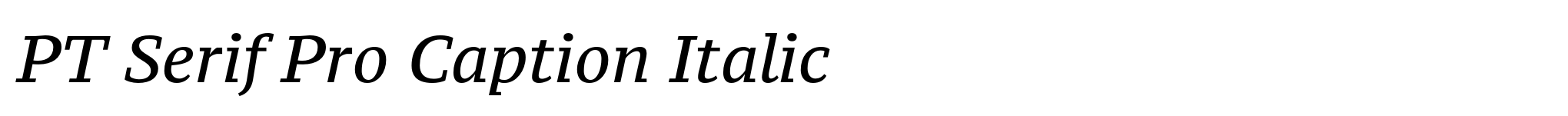 PT Serif Pro Caption Italic image